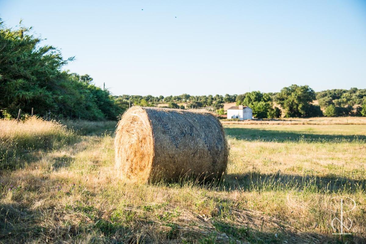 Alcáçovas Quinta Do Poco Novoヴィラ エクステリア 写真