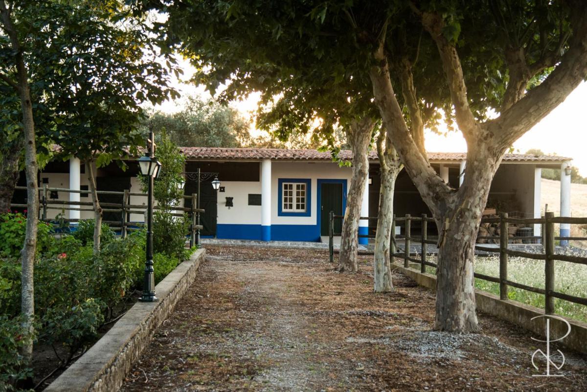 Alcáçovas Quinta Do Poco Novoヴィラ エクステリア 写真